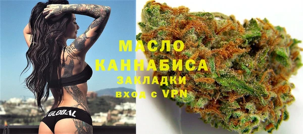 гашик Арсеньев