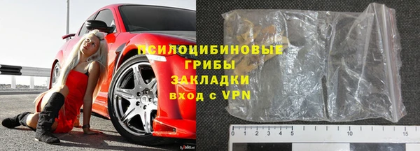 гашик Арсеньев