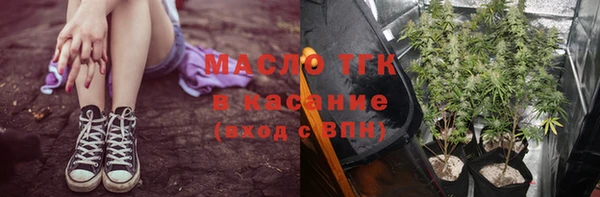 гашик Арсеньев