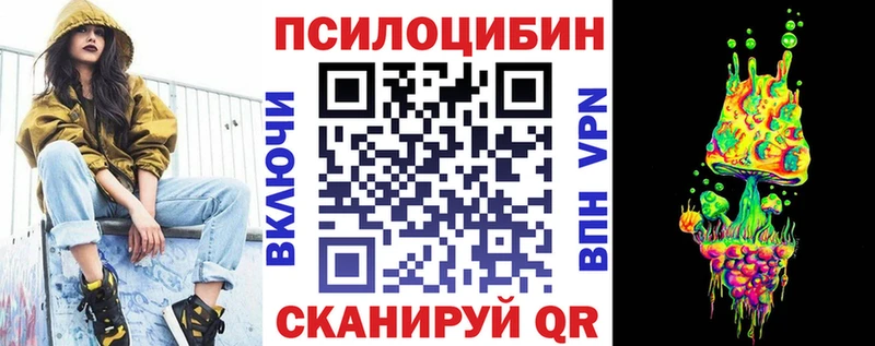 блэк спрут   Волгоград  Псилоцибиновые грибы Psilocybe 